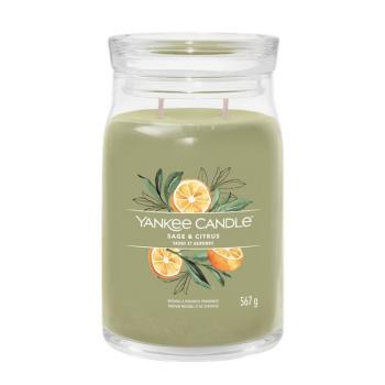 YANKEE CANDLE 1629961E SIGNATURE SAGE & CITRUS VELKA SVIECKA 567G
