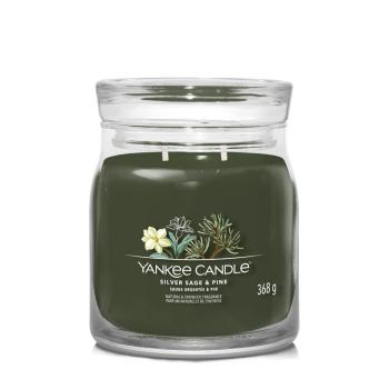 YANKEE CANDLE 1630027E SILVER SAGE & PINE STREDNA SVIECKA SIGNATURE, 368G
