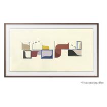 SAMSUNG VG-SCFN65DP/XC