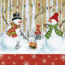 TI-FLAIR PAPIEROVE OBRUSKY 3 VRSTVY JET 3-03820 K