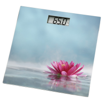 XAVAX 95325 ROSA, DIGITALNA OSOBNA VAHA vystavený kus