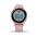 GARMIN VIVOACTIVE 4S DUST ROSE/LIGHT GOLD 010-02172-33 vystavený kus