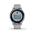 GARMIN VIVOACTIVE 4S POWDER GRAY/SILVER 010-02172-03