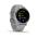 GARMIN VIVOACTIVE 4S POWDER GRAY/SILVER 010-02172-03