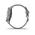 GARMIN VIVOACTIVE 4S POWDER GRAY/SILVER 010-02172-03