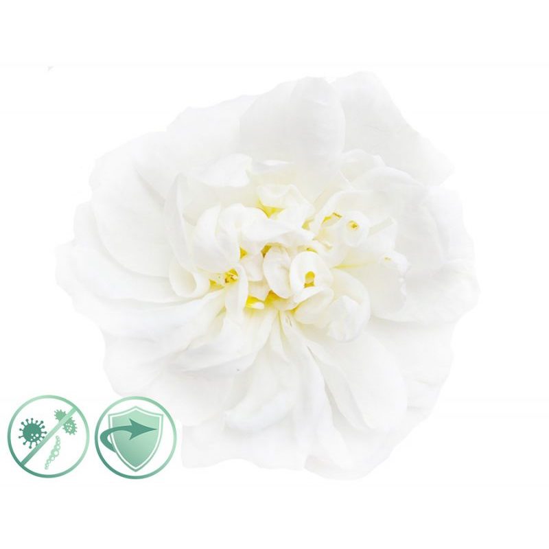 ALFAPUREO WHITE FLOWER 200 ML - DEZINFEKCNY AROMA OLEJ