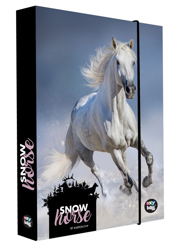 KARTON P+P BOX NA ZOSITY A5 JUMBO SNOW HORSE