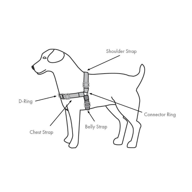 PETSAFE EASY WALK HARNESS - EXTRA LARGE RED